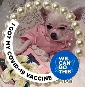 Meet your Posher, Shirley l.